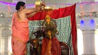 Lord Sri Krishna Abhishekam At Gau Pradakshina Mandir Near Alipiri