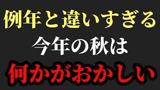 今年の秋は何かがおかしい【村岡昌憲】