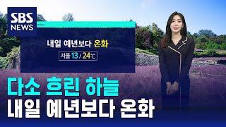 [날씨] 다소 흐린 하늘…내일 예년보다 온화 / SBS