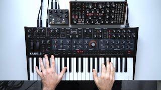 Sequential Take 5, Moog Subharmonicon, Walrus Slöer - cinematic synth performance