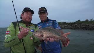 Live-baiting Mangrove Jacks in NSW!