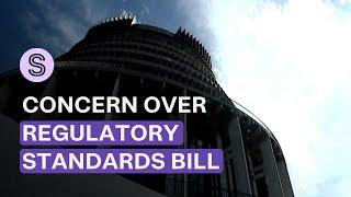 ‘Dangerous’: Why critics are concerned about the Regulatory Standards Bill | Stuff.co.nz