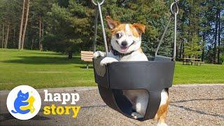 This Dog Lost Her Eyes But Never Stopped Smiling | HAPP