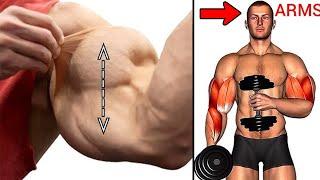 Top 14 Biceps  Workouts  at gym   Biceps workout