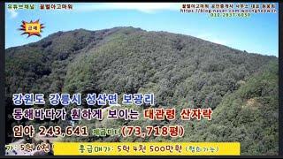 (급매) 강릉시 대관령 중턱 동해바다가 훤하게보이는 임산물재배단지 임야 73,718평 (협의가능)