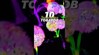 знаменитые товары из Китая! #обзор #вайлбериз #распаковка