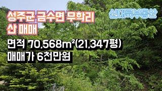 매물#159)성주군 금수면 무학리 산 매매 면적 70,568m²(21,347평) 매매가 6천만원_성주촌집매매.성주땅매매.성주전원주택매매