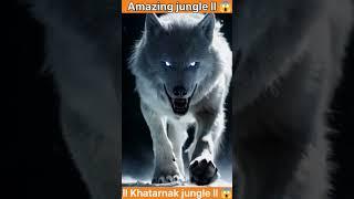 Duniya Ka sabse bada Jungle ll  #shortvideo #automobile #explore #explorepage #amazing #viralvideo