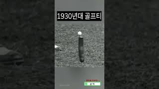 골프 신기한 골프 이야기 정보  #퍼팅연습 #골프레슨 #골프용품 #골프연습  #golf #골프 #골픽스 #골프스윙연습기