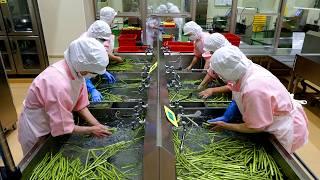 7,000 School Lunches a Day! The Cleanest Food Center in Japan