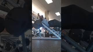 Flex Fitness Heck Squat Leg Training