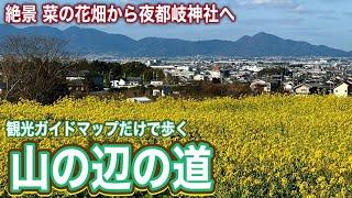 【Googleマップ検索禁止】観光ガイドマップだけで歩く山の辺の道 ⑨ 波多子塚古墳～夜都岐神社