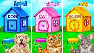 Una Casa De Color Desafío con Perro, Gato y Hámster por Multi DO Smile