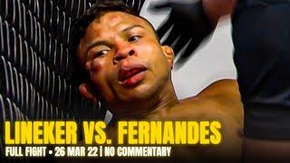 TERRIFYING KNOCKOUT  Lineker vs. Fernandes | No Commentary Full Fight