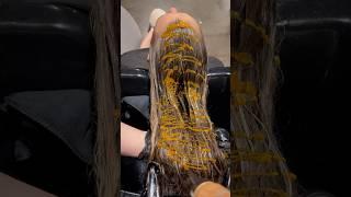 Hair Color Gloss and Glaze with #GuyTang #REFLECT liquid Demi color