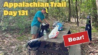 Appalachian Trail 2024 Day 131: Millbrook/Blairstown to Gren Anderson Shelter