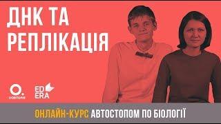 ДНК та реплікація. ЗНО з біології