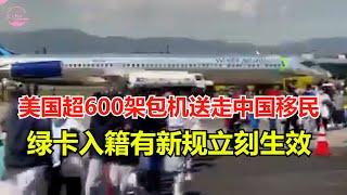 美国大使馆通告 美国超600架包机送走中国移民 绿卡入籍有新规立刻生效【Echo走遍美国】 【Echo's happy life】 【Echo的幸福生活】