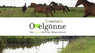 Gemeinde Ovelgönne