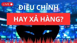 Chứng khoán hôm nay | Nhận định thị trường : Điều chỉnh hay xả hàng?