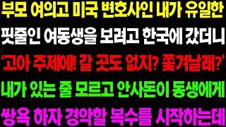 (실화사연) 부모 여의고 미국 변호사인 내가 유일한 핏줄인 여동생을 보려고 한국에 갔더니 안사돈에게 동생이 개처럼 당하고 있는데../ 사이다 사연,  감동사연, 톡톡사연