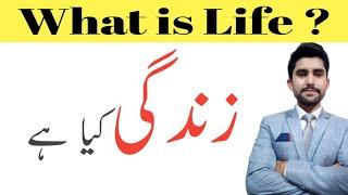 What is life 2020 | Sheikh Sheraz Ahmad