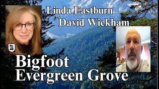 Bigfoot Evergreen Grove where Bigfoot lives.