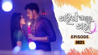 Tarini Akhira Tara | Full Ep 1021 | 12th May 2021 | Odia Serial – TarangTV