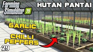 I BUILD THE LARGEST GREENHOUSE TO GROW DIFFERENT CROPS Hutan Pantai FS25 Ep 29