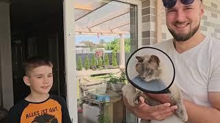 Наш КОТ оказался на ОПЕРАЦИОННОМ столе! Делаю КРОВАТЬ из МАССИВА своими руками!