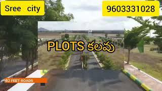 Open plots in Amaravathi| Kantheru:  9603331028