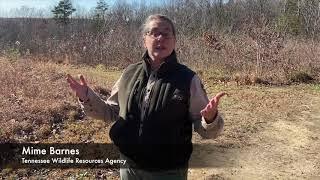 Learn Tracks Close To Home - TWRA Wildlife Education