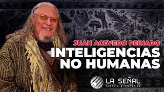  INTELIGENCIAS NO HUMANAS con Juan Acevedo Peinado #exclusivo #podcast  |Señal 378