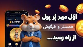 فوری قبل لیست شدن همستر کامبت و راکی ربیت این کارهارو بکن !