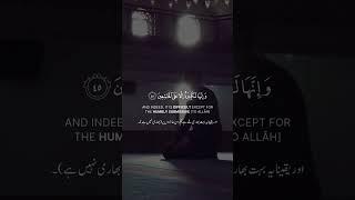 Beautiful Qurani Recitation ️||Beautiful voice||Sirat Al-Mustaqeem