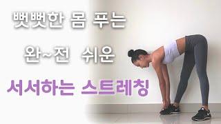 8MIN Quick Standing Stretch - Beginner Friendly