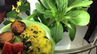 Your Better Living Coach Tower Garden Breakfast