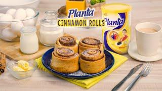 Planta Malaysia - Cinnamon Rolls