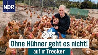 Mulchen für die Hühner: Vanessa ist die Neue in der Serie | Auf'm Trecker Folge 38 | NDR