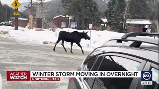 Winter storm moving in overnight