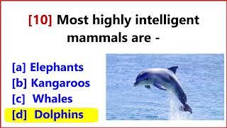 55 GK Questions and Answers on birds & animals | quiz on animals | Animals Quiz Questions