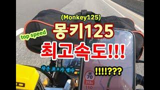 이러다 엔진 터지는거 아냐? 몽키125 최고속도 공개!!! honda monkey125