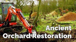 Ancient Orchard and Meadow Restoration - Yorkshire - England - 4K