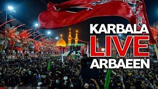 LARGEST MOWKIB IN KARBALA - ARBAEEN LIVE -  SHRINE OF IMAM HUSSAIN & BAYNUL HARAMAYN