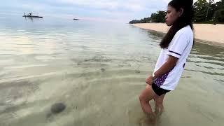 Lots of Jellyfish in Cebu Philippines right now! (I think blubber jellyfish)