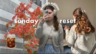 adulting diaries: sunday rest vlog autumn edition, cleaning, journaling