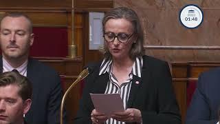 Anne Sicard : Stop au massacre des minorités alaouites et chrétiennes en Syrie ! (QAG)