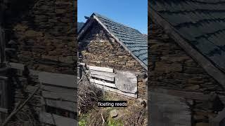 View of typical village house of Himachal #nature #must #viral #blog
