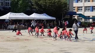 수창초등학교 병설유치원 가을운동회2018