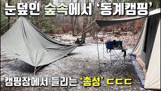 Winter Snow Camping New York / Snow Forest Camping / Gun Shot in Forest??